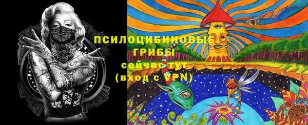 гидра Киреевск